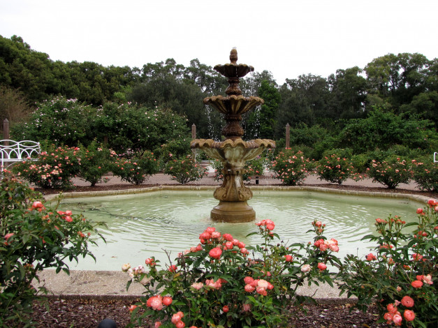 Обои картинки фото города, фонтаны, фонтан