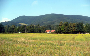 Картинка природа луга деревня луг гора