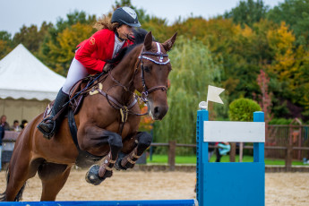 Картинка спорт конный+спорт ипподром лошадь жокей скачки