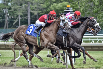 Картинка спорт конный+спорт ипподром скачки