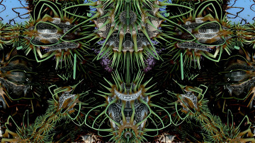 Картинка 3д+графика фракталы+ fractal цвета фон узор