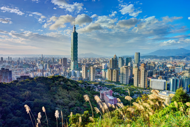 Обои картинки фото города, тайбэй , тайвань,  китай, китай, город, панорама, камышь