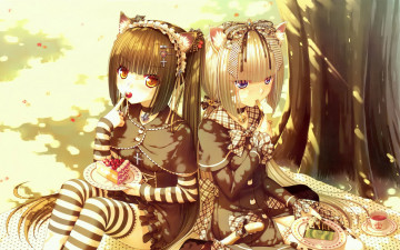 Картинка аниме touhou девушки взгляд фон