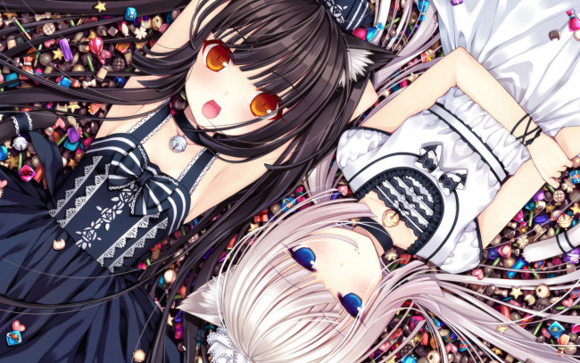 Обои картинки фото аниме, touhou, девушки, взгляд, фон