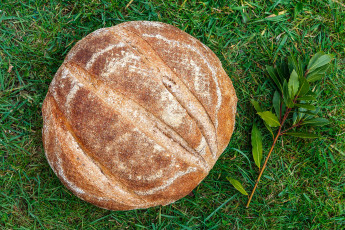 Картинка еда хлеб +выпечка буханка