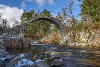 Картинка природа реки озера река лес