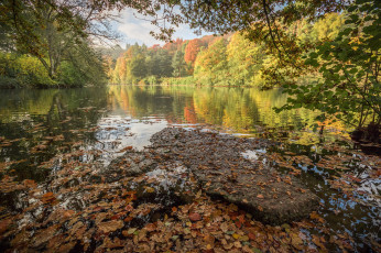 Картинка природа реки озера река лес