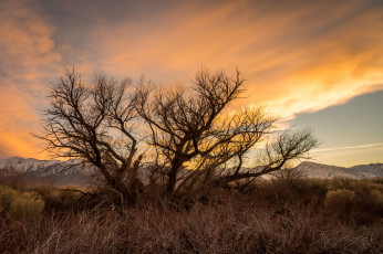 Картинка природа восходы закаты рассвет