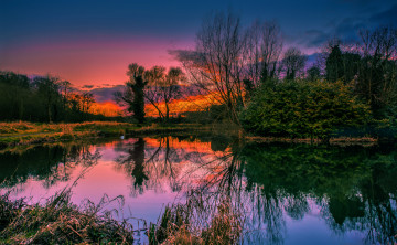 Картинка природа реки озера лес река