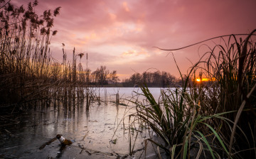 Картинка природа реки озера лес река