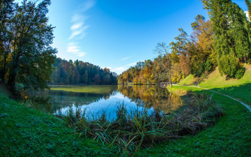 Картинка природа реки озера лес река