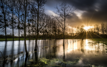 Картинка природа реки озера река лес