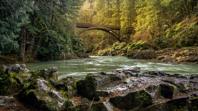 Обои картинки фото природа, реки, озера, река, лес