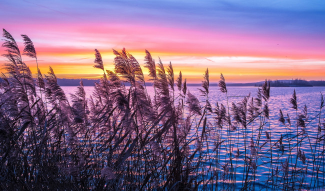 Обои картинки фото природа, реки, озера, река, лес