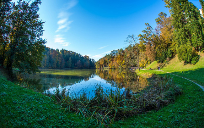 Обои картинки фото природа, реки, озера, лес, река