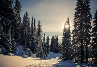 Картинка природа зима простор