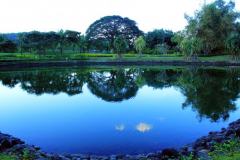 Картинка природа парк пруд деревья