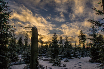 Картинка природа зима простор