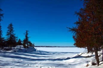 Картинка природа зима снег