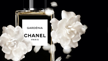 обоя бренды, chanel, духи