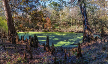 Картинка природа реки озера простор