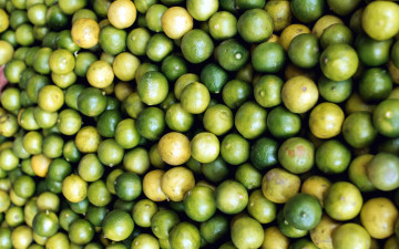 Картинка еда цитрусы лаймы