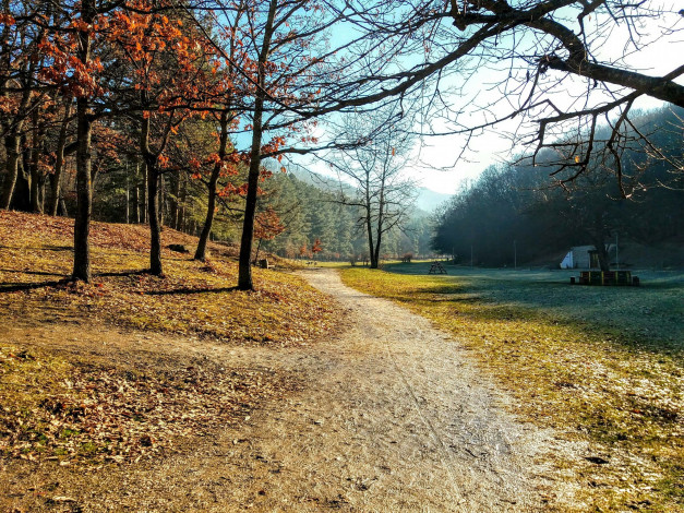 Обои картинки фото природа, парк, осень