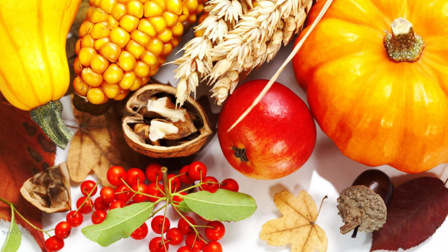Обои картинки фото еда, фрукты и овощи вместе, яблоко, кукуруза, тыква
