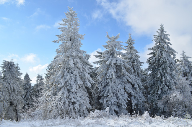 Обои картинки фото природа, зима, простор