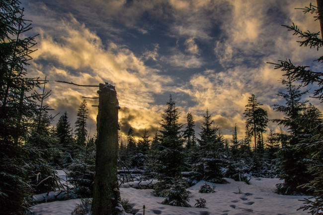 Обои картинки фото природа, зима, простор