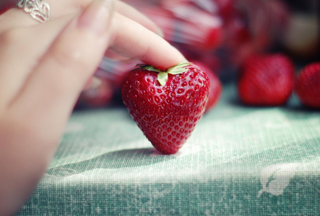 Обои картинки фото еда, клубника,  земляника, ягодка