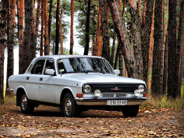 Обои картинки фото газ- 24 волга, автомобили, газ, газ-, 24, волга, автомобиль, белый, лес, седан, классика, ретро