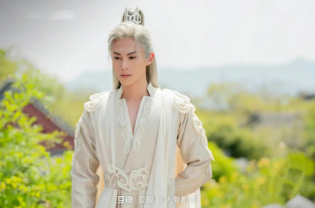 обоя кино фильмы, miss the dragon, повстечавшая, дракона, miss, the, dragon