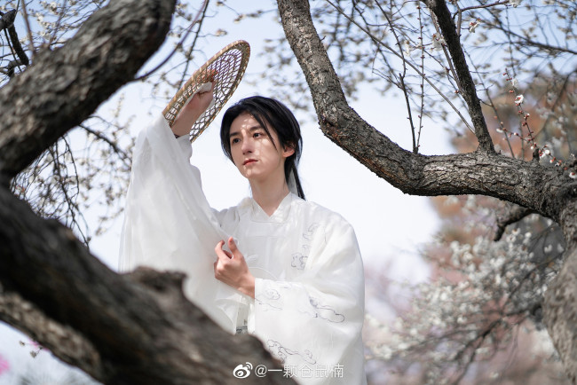 Обои картинки фото мужчины, - креатив,  косплей, парень, костюм, шляпа, дерево, цветение