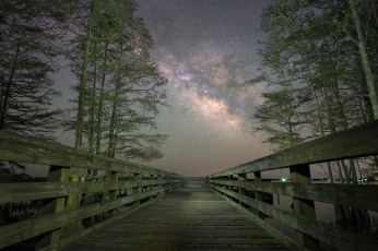 Картинка города -+мосты ночь