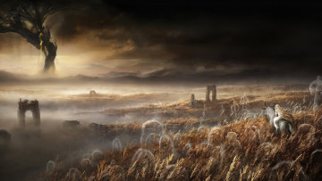 Картинка видео+игры elden+ring elden ring