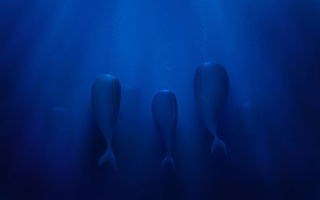 Картинка рисованное vladstudio