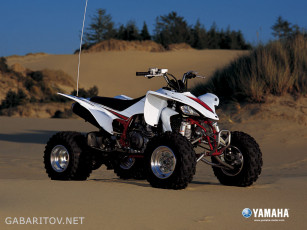 Картинка мотоциклы квадроциклы