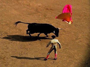 Картинка спорт другое