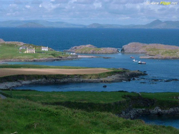 Обои картинки фото 