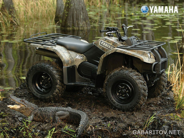 Обои картинки фото мотоциклы, квадроциклы