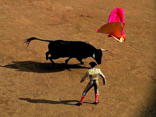 Обои картинки фото спорт, другое