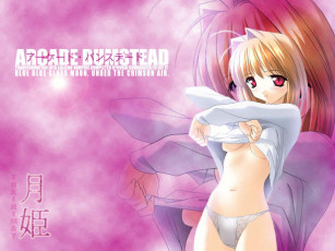 Картинка аниме tsukihime