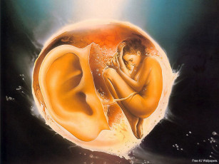 Картинка фэнтези другое