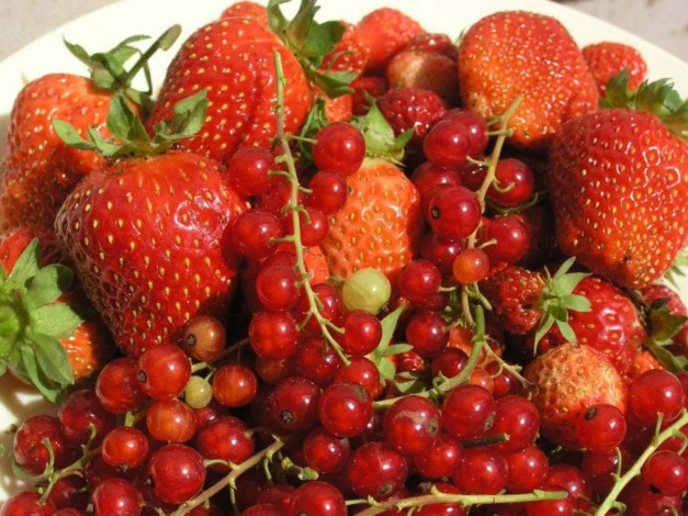 Обои картинки фото еда, фрукты, ягоды