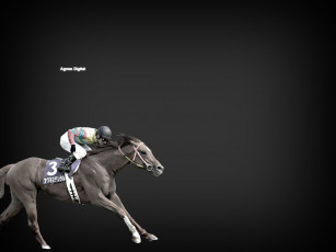 Картинка спорт конный