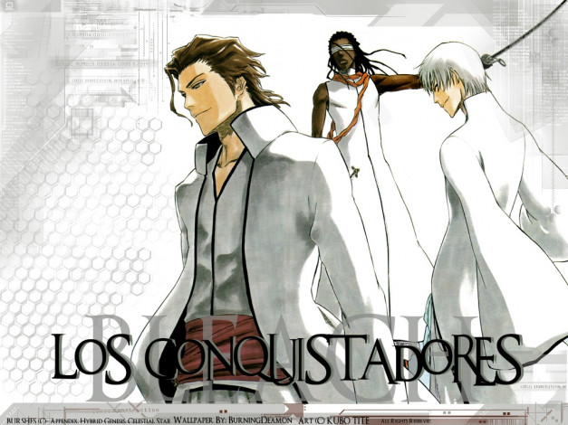 Обои картинки фото аниме, bleach