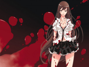 Картинка аниме weapon blood technology