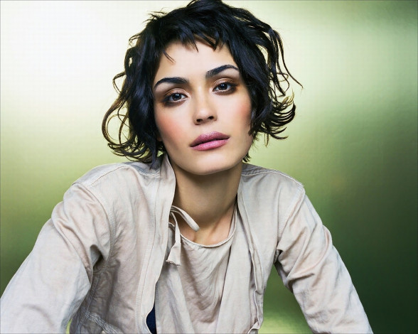 Обои картинки фото Shannyn Sossamon, девушки