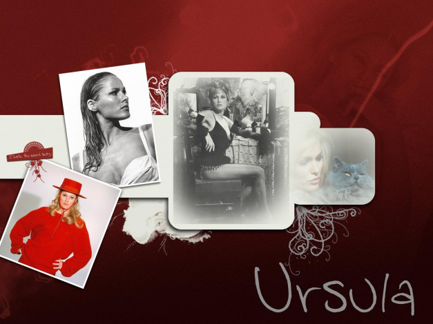Обои картинки фото Ursula Andress, девушки
